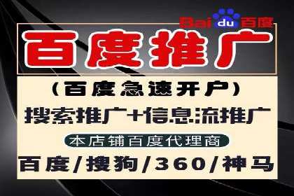 谷歌竞价广告在旅游行业的成功营销案例
